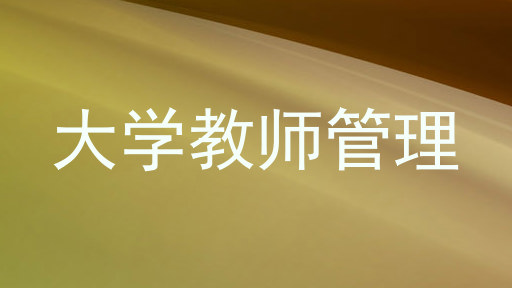 大学教师管理