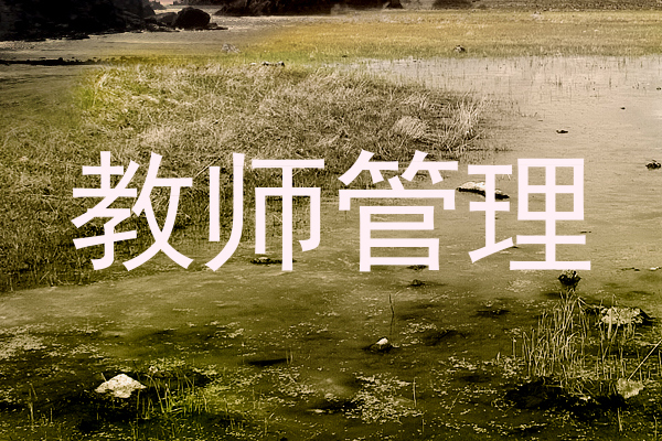 教师管理
