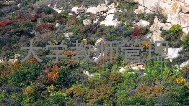 大学教师管理