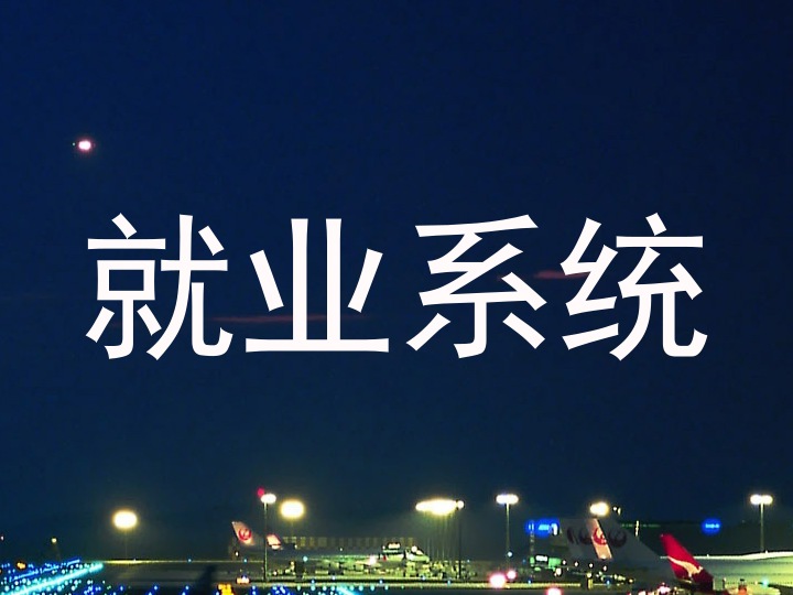就业系统