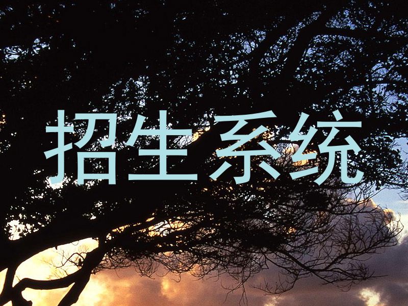 招生系统