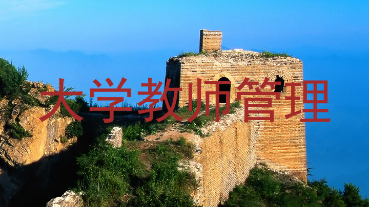 大学教师管理