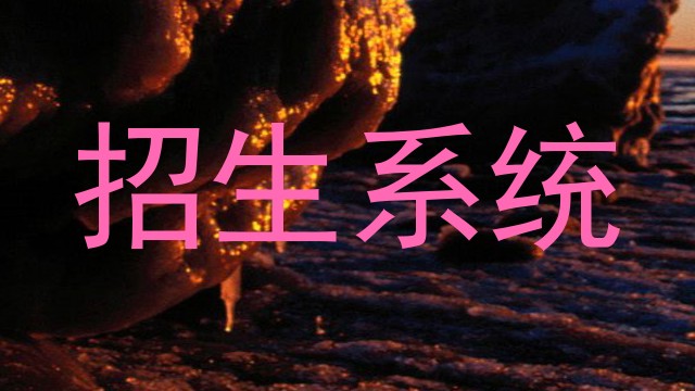 招生系统