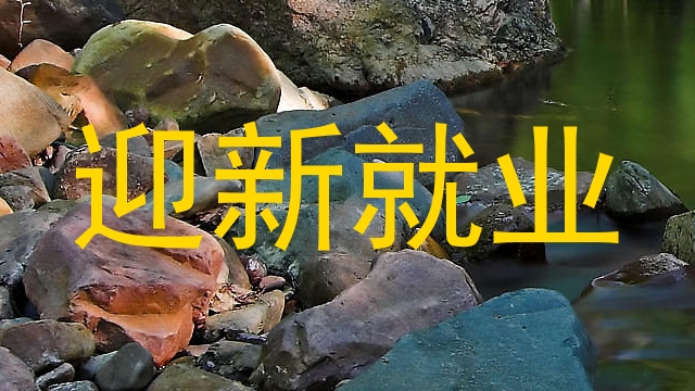 迎新就业