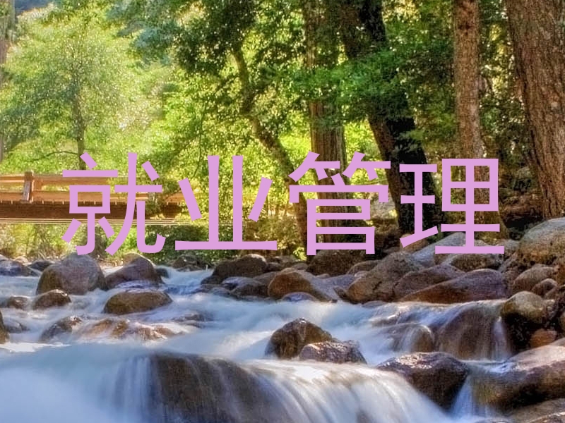 就业管理
