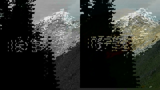 IT资产管理系统