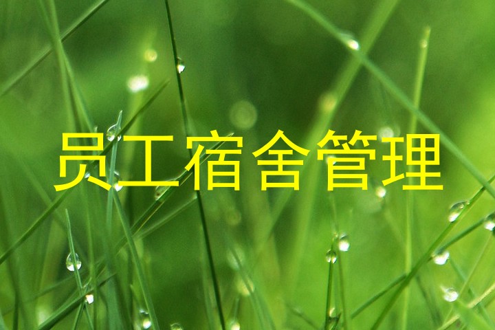 员工宿舍管理
