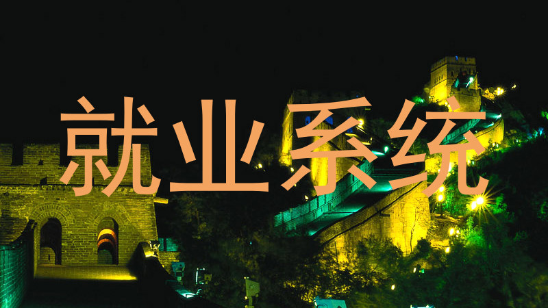 就业系统