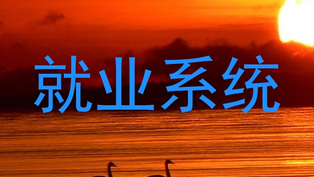 就业系统