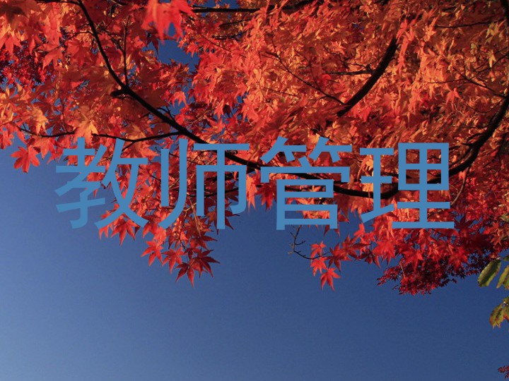 教师管理