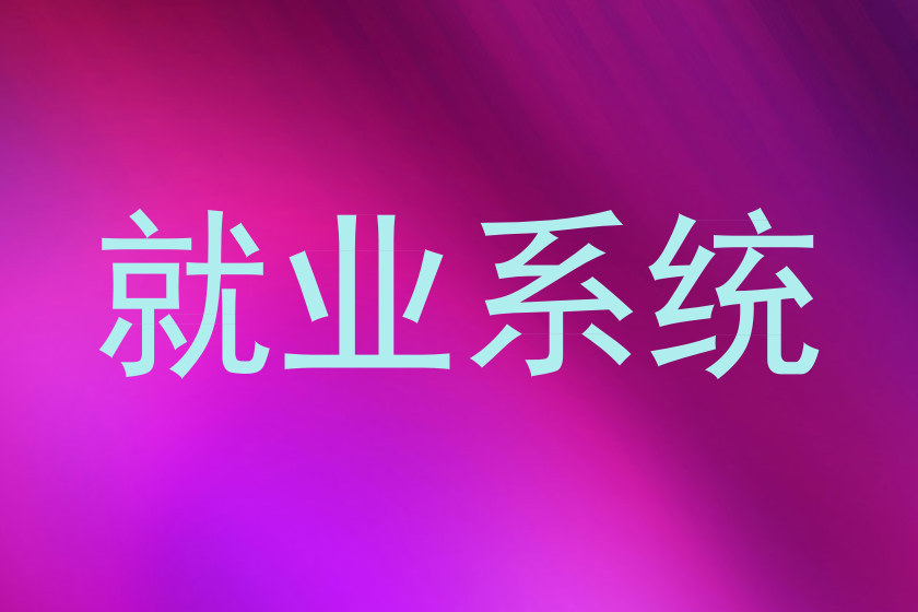 就业系统