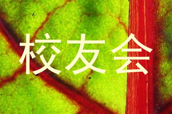 校友会