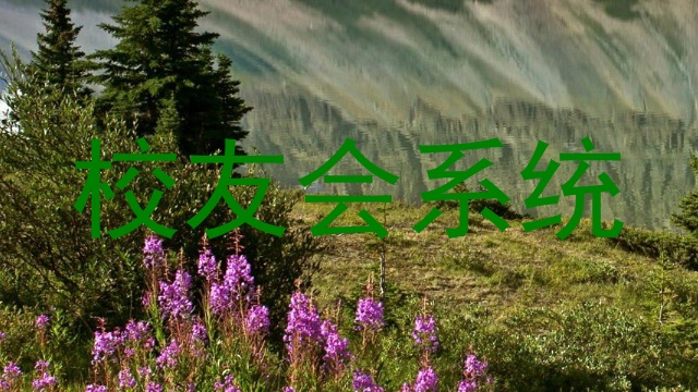 校友会系统
