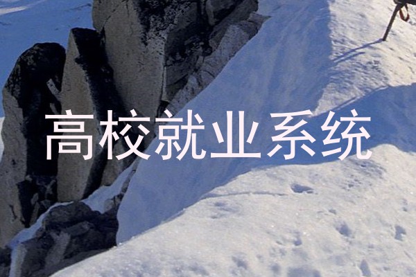 高校就业系统