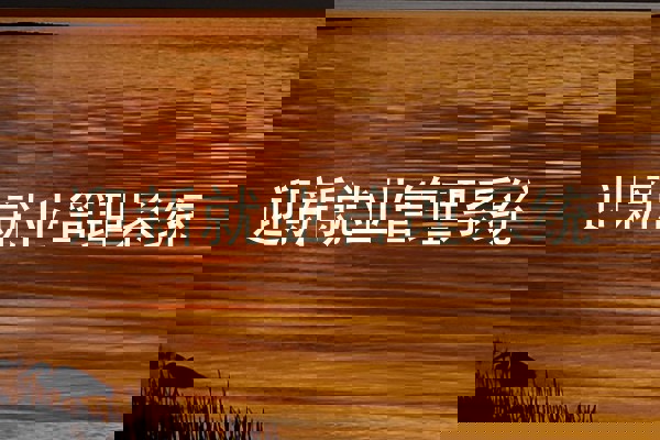 迎新就业管理系统