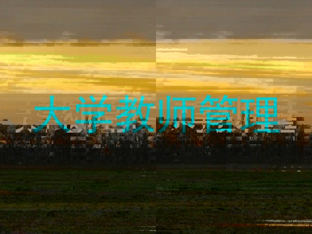 大学教师管理