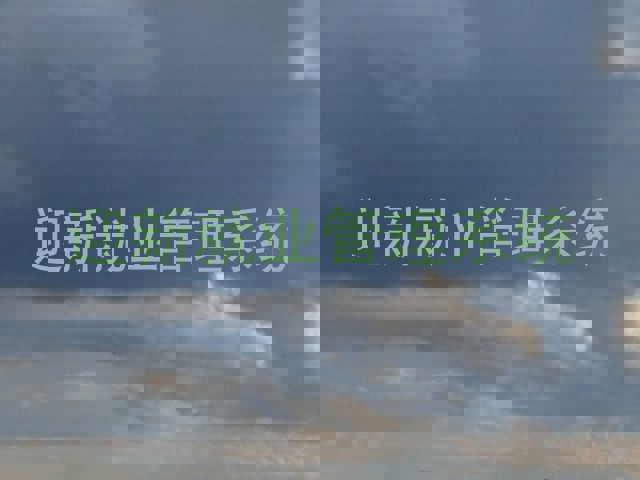 迎新就业管理系统