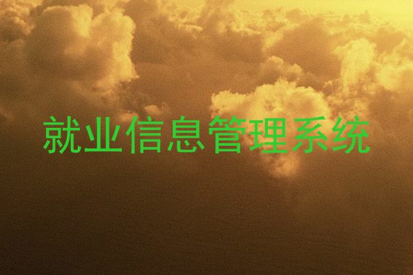 就业信息管理系统