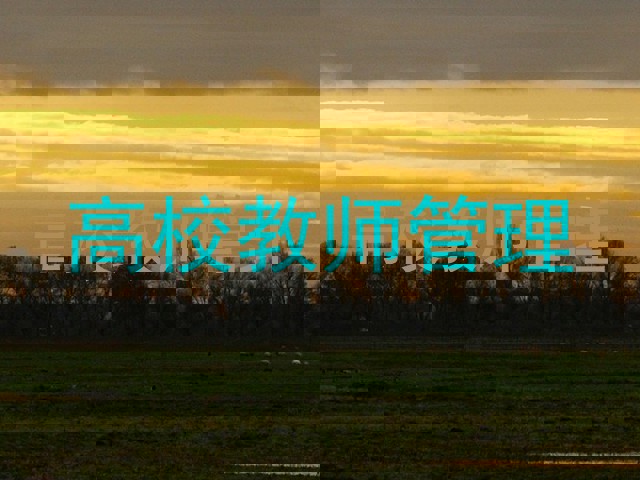 高校教师管理