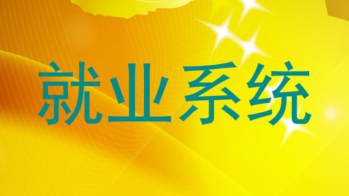 就业系统
