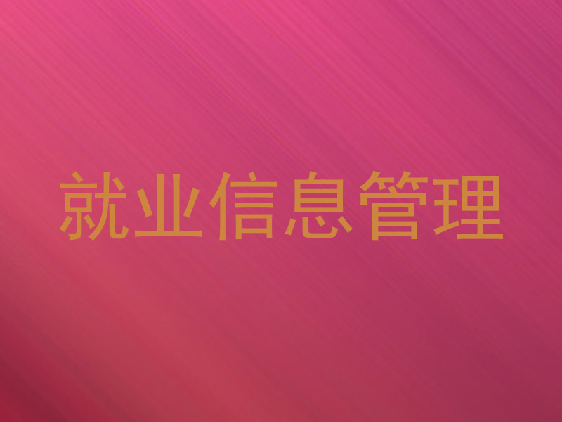就业信息管理