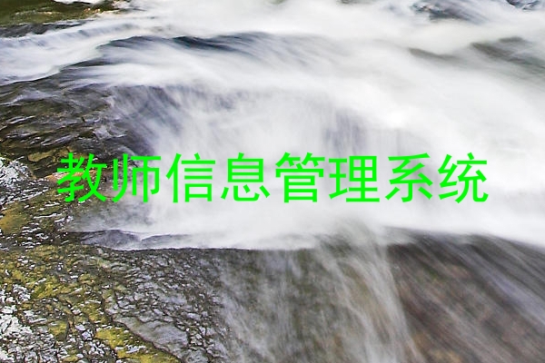 教师信息管理系统