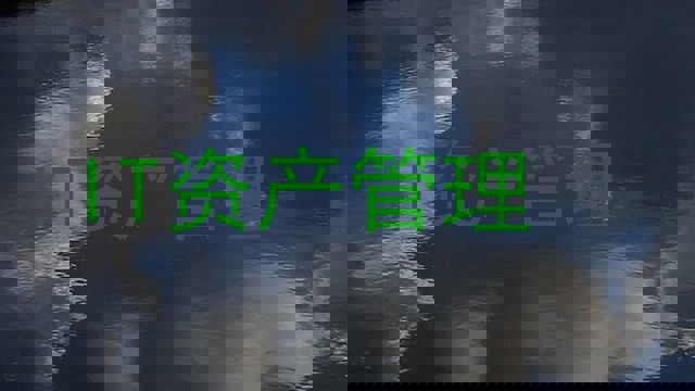 IT资产管理