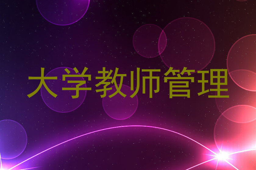 大学教师管理