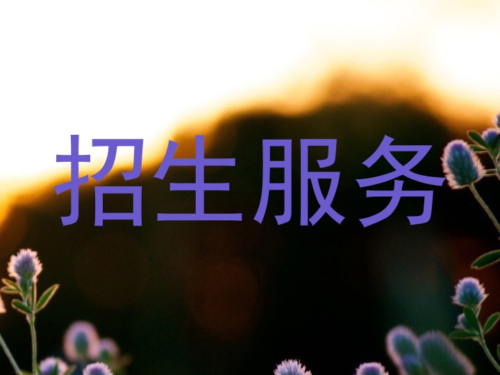 招生服务