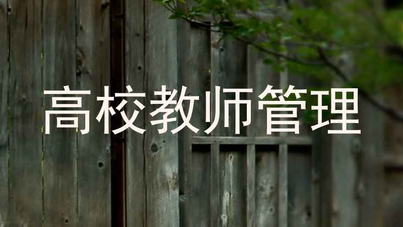 高校教师管理