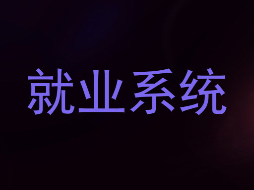 就业系统