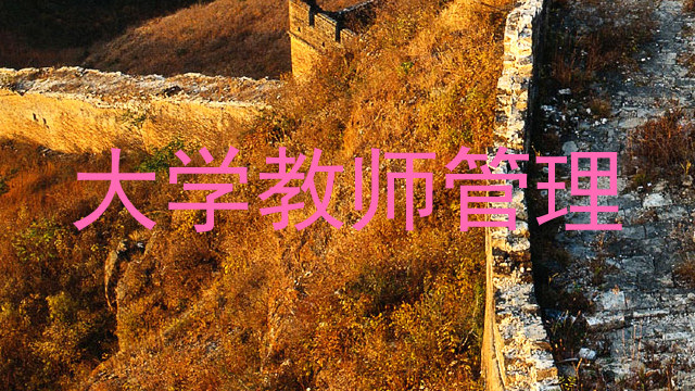 大学教师管理