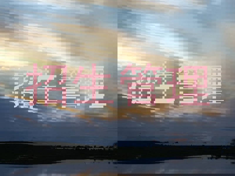 招生管理