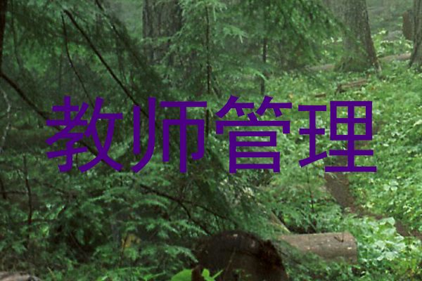 教师管理