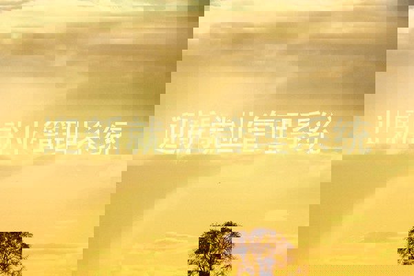 迎新就业管理系统