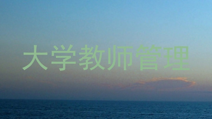 大学教师管理