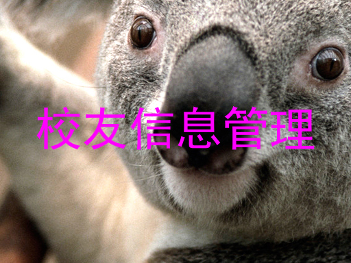 校友信息管理