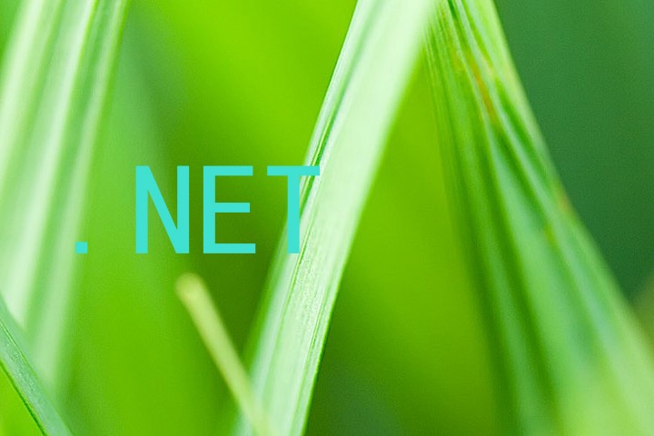 .NET
