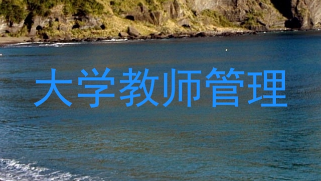 大学教师管理