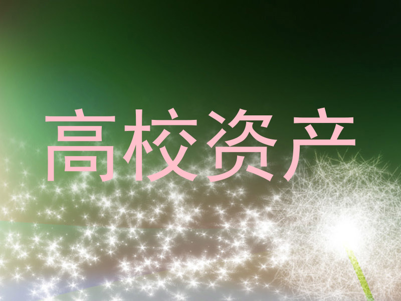 高校资产