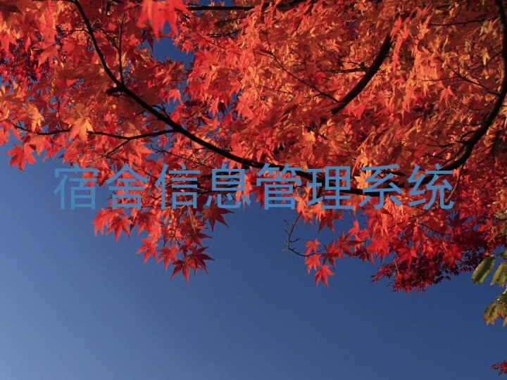 宿舍信息管理系统