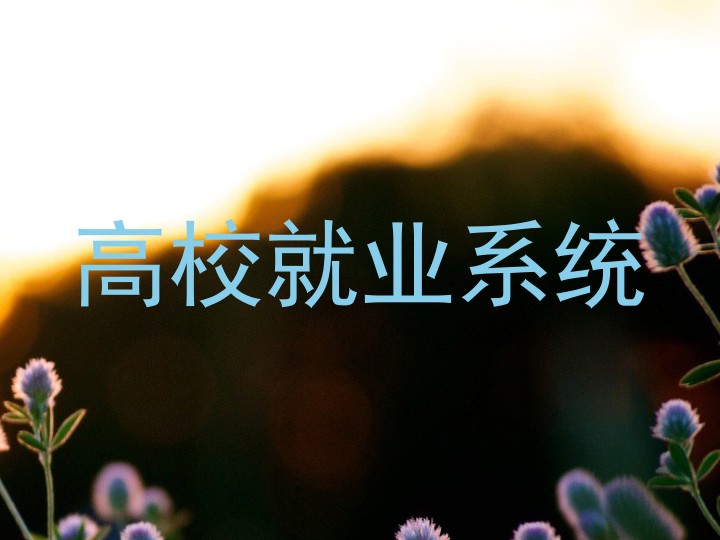 高校就业系统