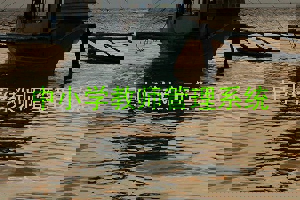 中小学教师管理系统