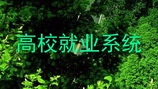 高校就业系统