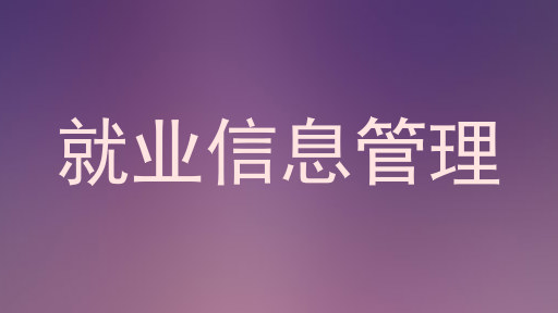 就业信息管理