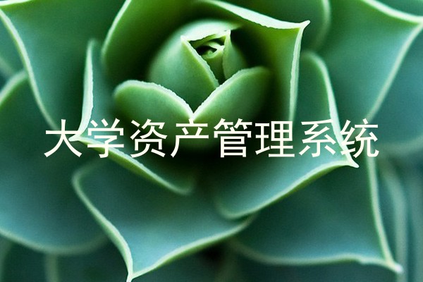 大学资产管理系统