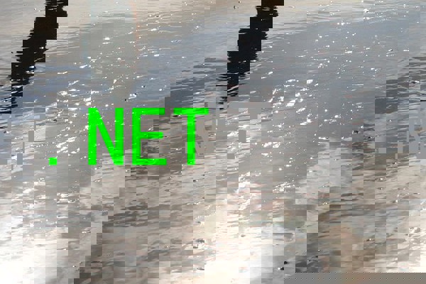 .NET