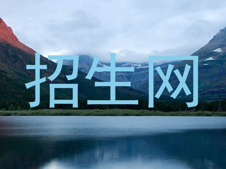 招生网