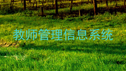 教师管理信息系统