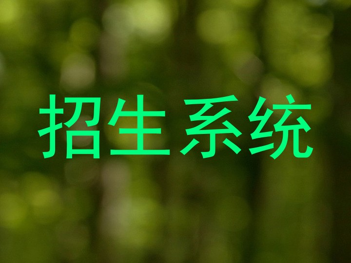 招生系统